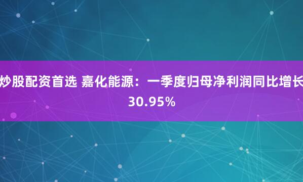 炒股配资首选 嘉化能源：一季度归母净利润同比增长30.95%